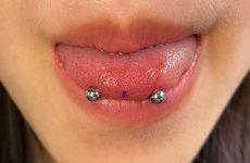 Amazing Snakes Eye Piercing Full Of Unspoken Language And How To Nail It