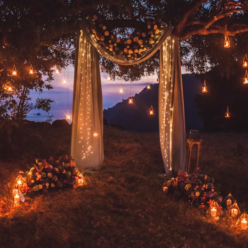 Tree Wedding Arch with Lights