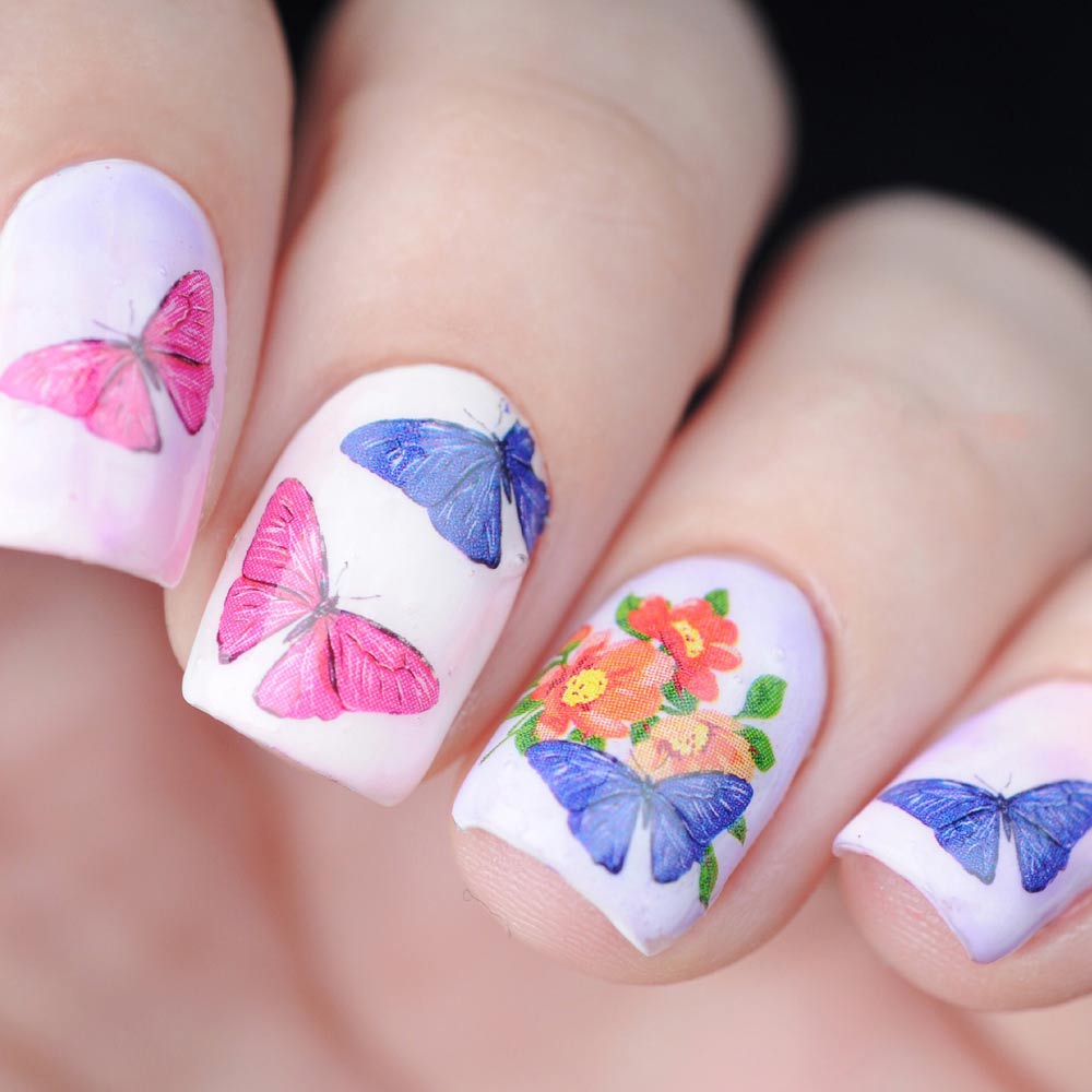 Butterfly Nails with White Background
