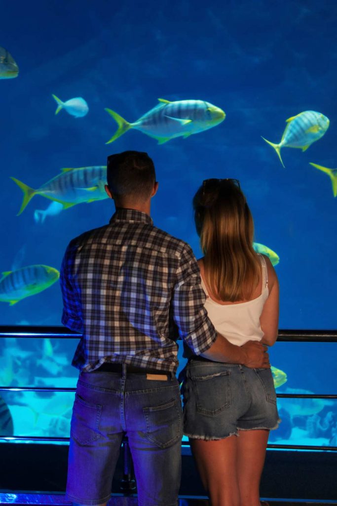 Visit Aquarium at First Date Idea