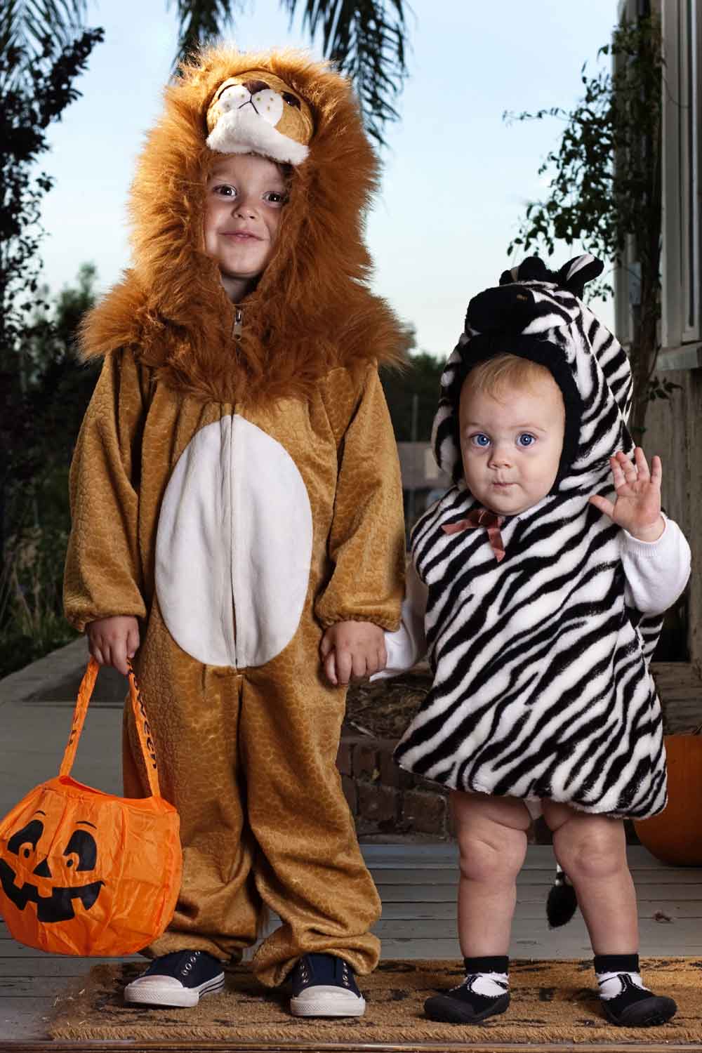 Madagascar Lion and Zebra Halloween Costumes for Friends