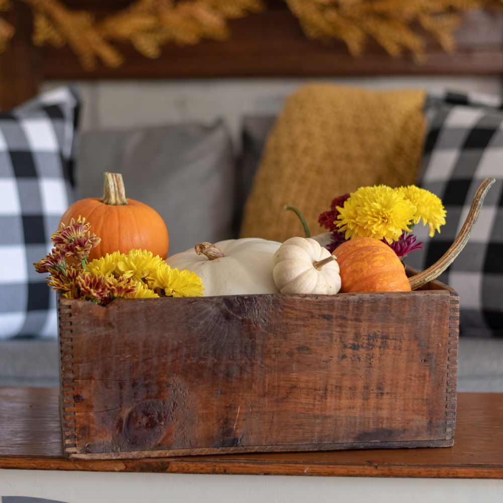 Fall Decoration Ideas with Pumpkins