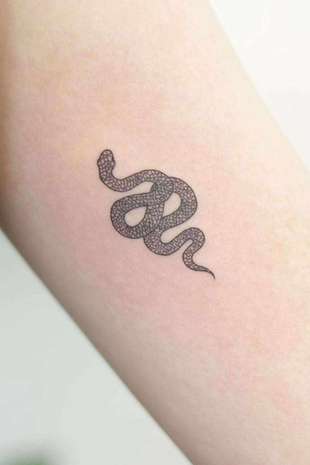 Small Forearm Snake Tattoo