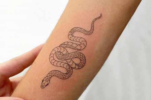 58 Exceptional Snake Tattoo Ideas for Daring and Confident Folks