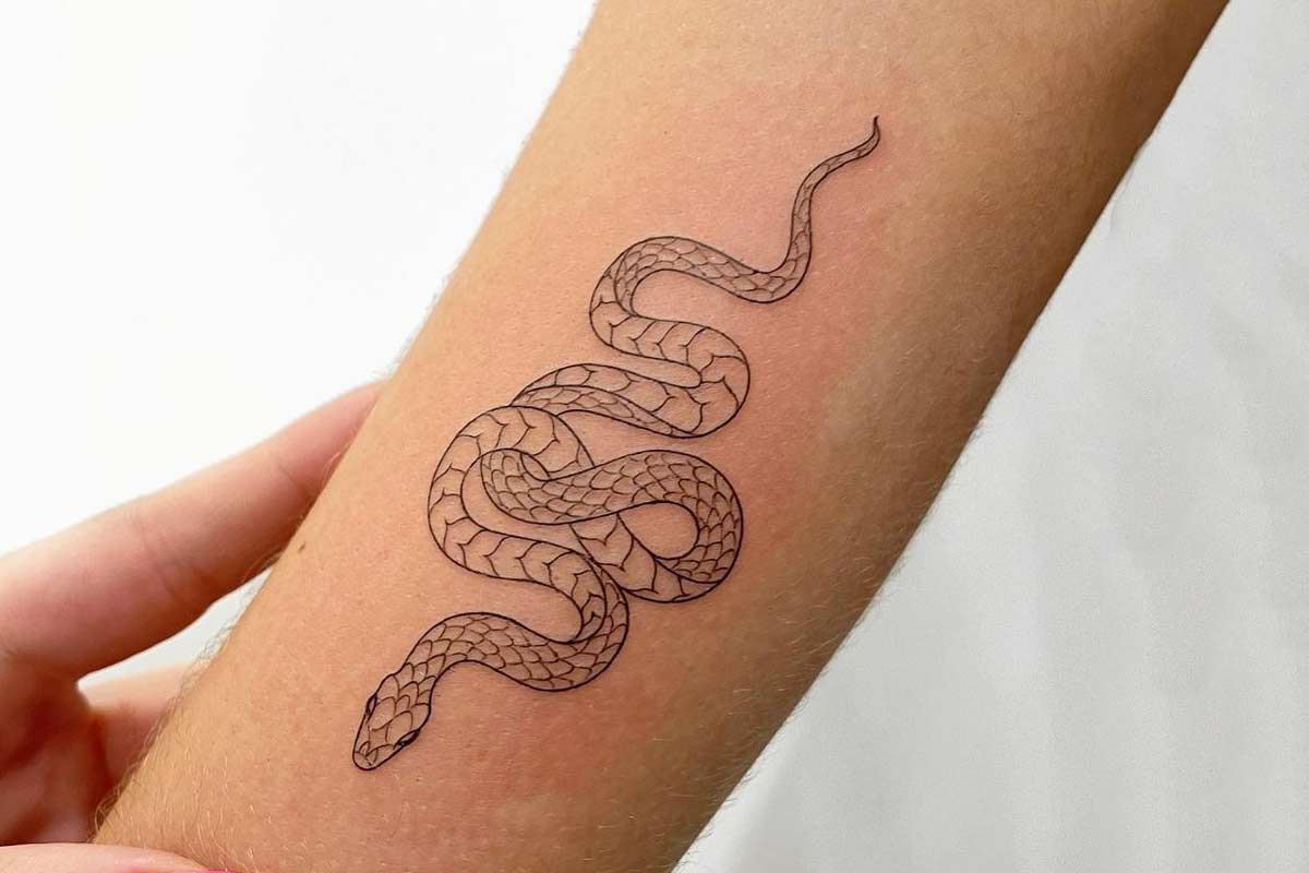 Snake tattoo on arm  Pics4Learning