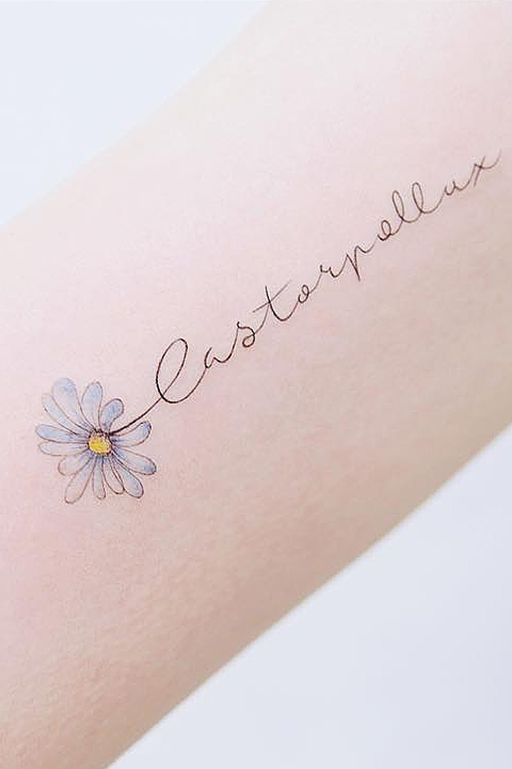 Daisies Tattoo Outline