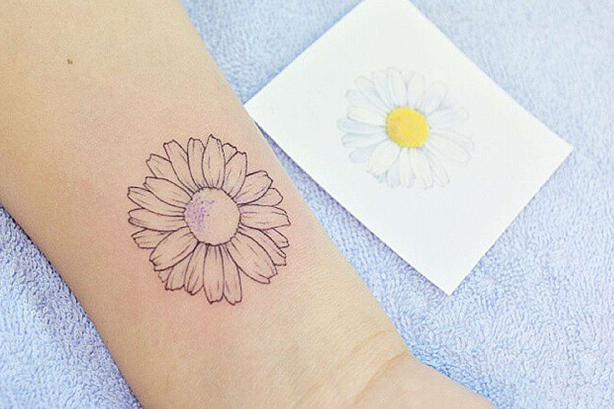 Delicate Tattoo of a Daisy Ideas and Its Unique Symbolism