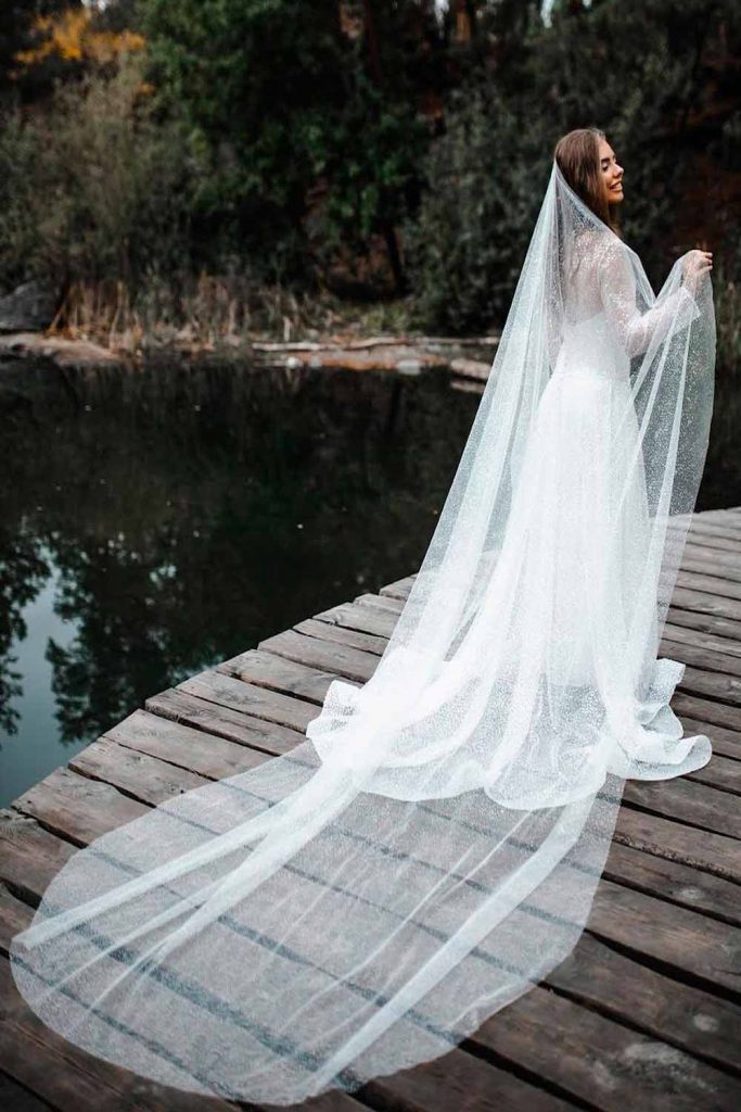 Gorgeous Tulle Veil With Touch Of Glitter