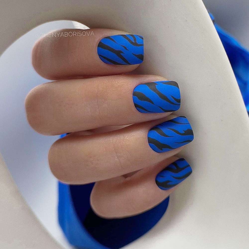 Navy Blue Nails with Zebra Print