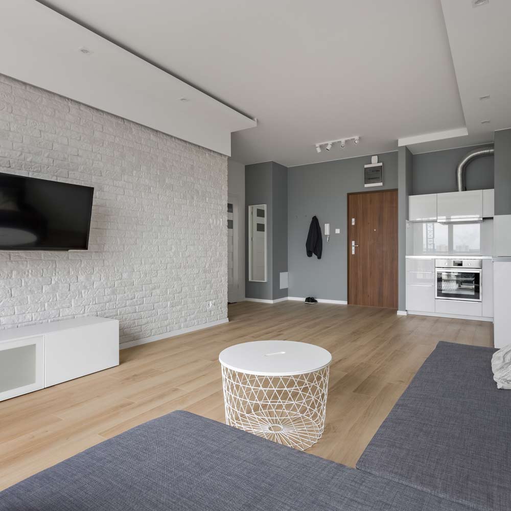 Grey Colors Studio Apartment Design