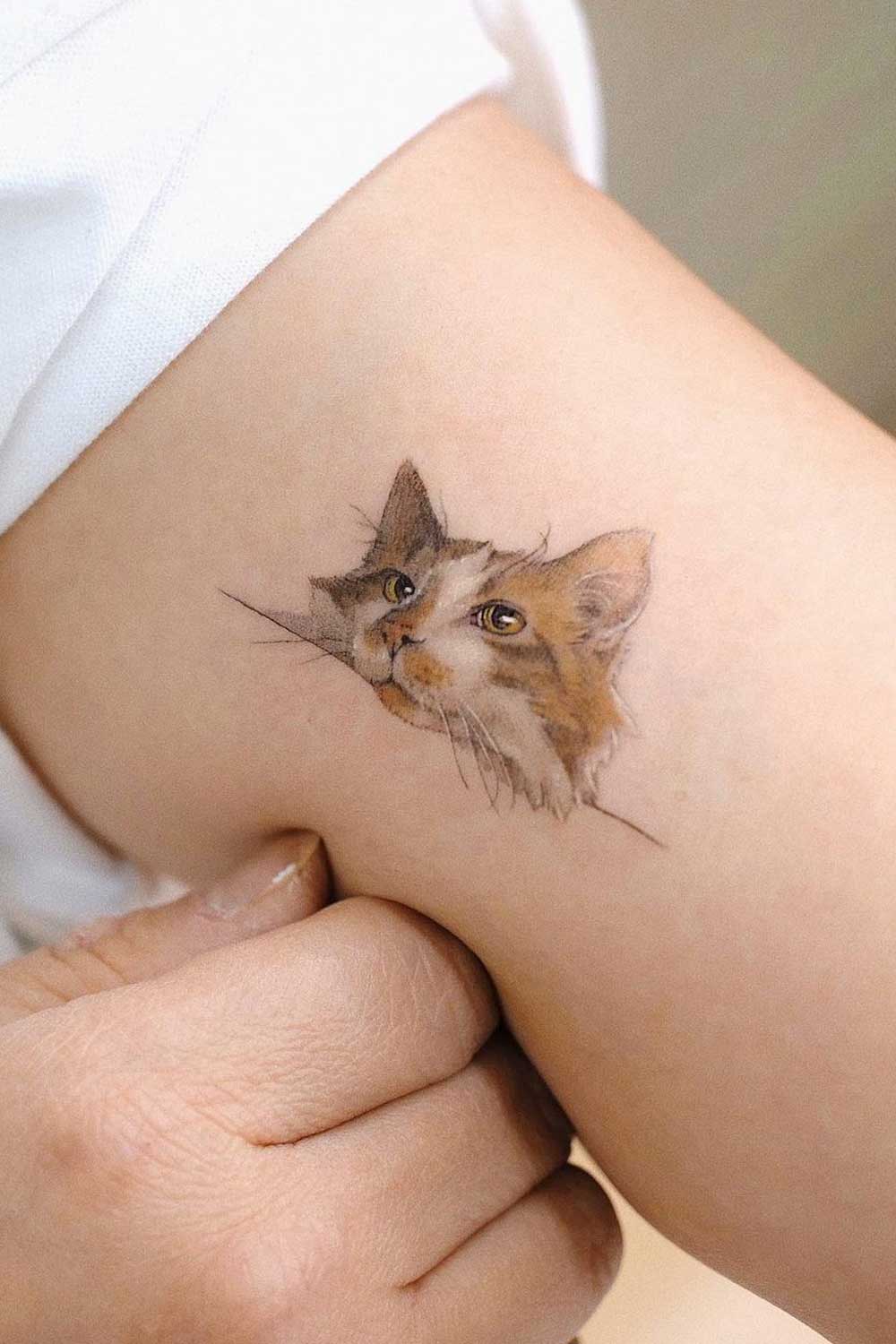 Cat Tattoo Design on Arm