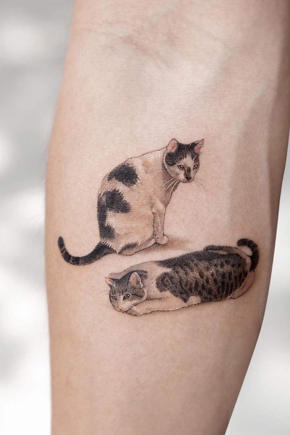 Arm Cats Tattoo