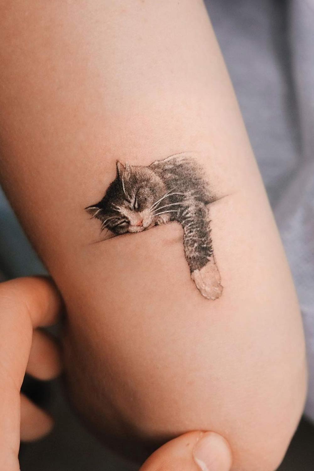 Sleeping Cat Realistic Tattoo