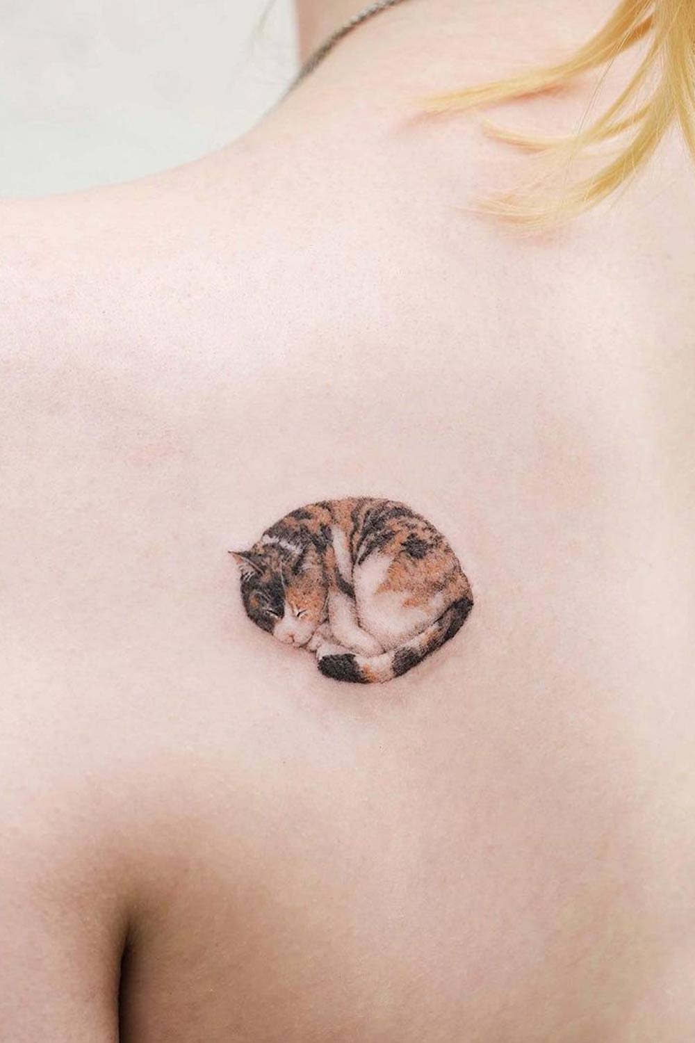 Sleeping Cat Shoulder Tattoo