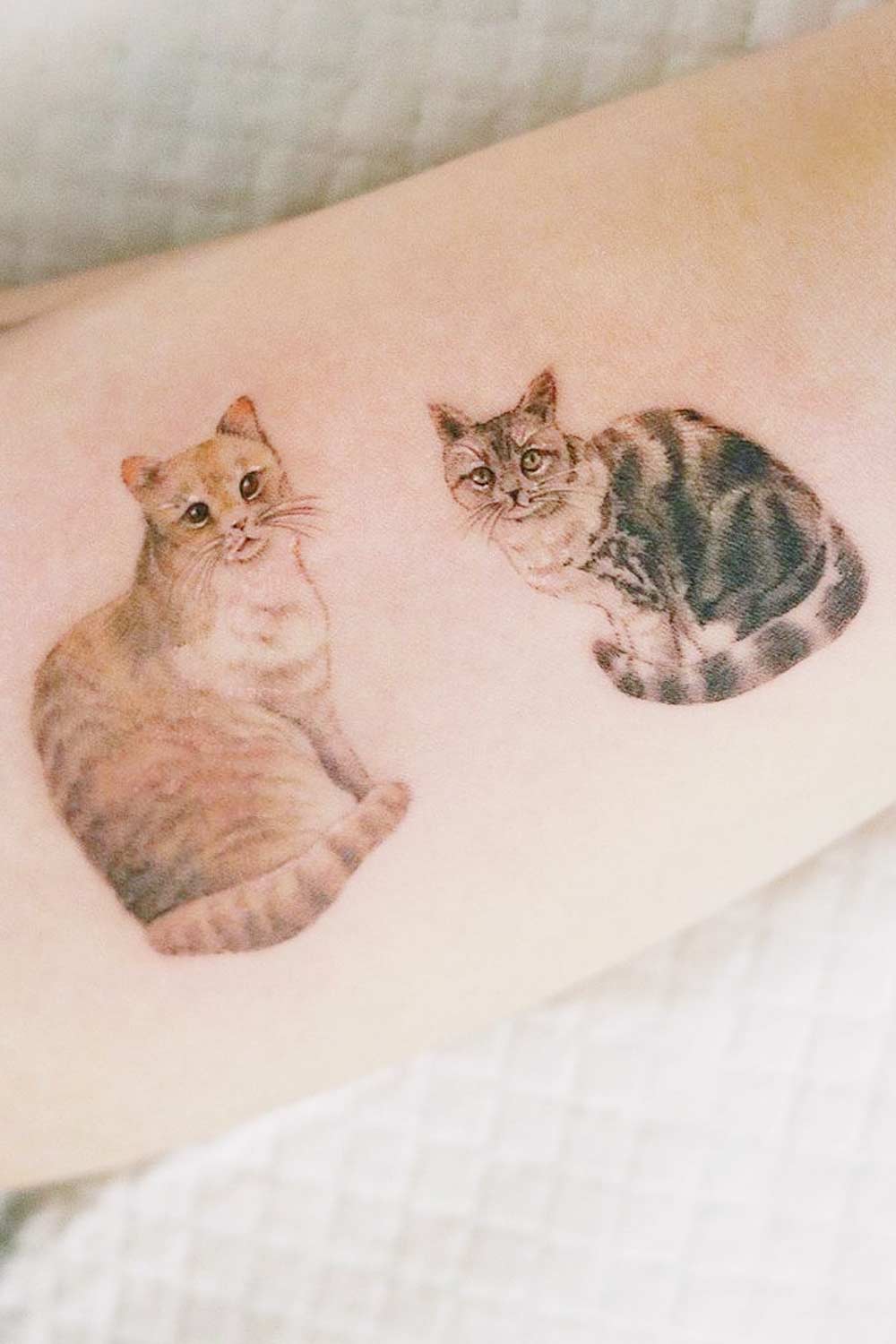 Cats Portrait Tattoo