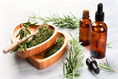 Precious Rosemary Oil Benefits For Your Beauty