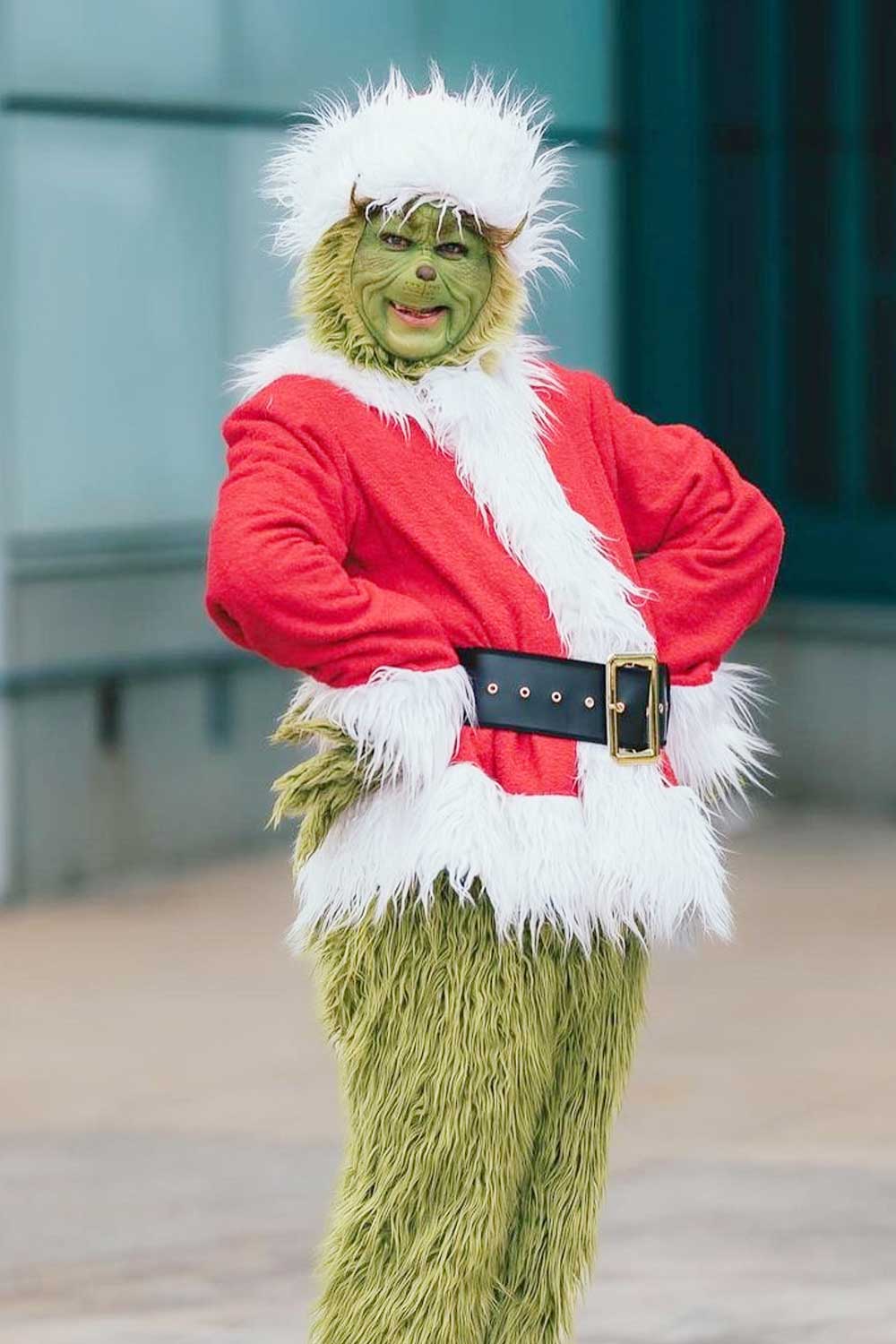 Grinch Costume for Halloween
