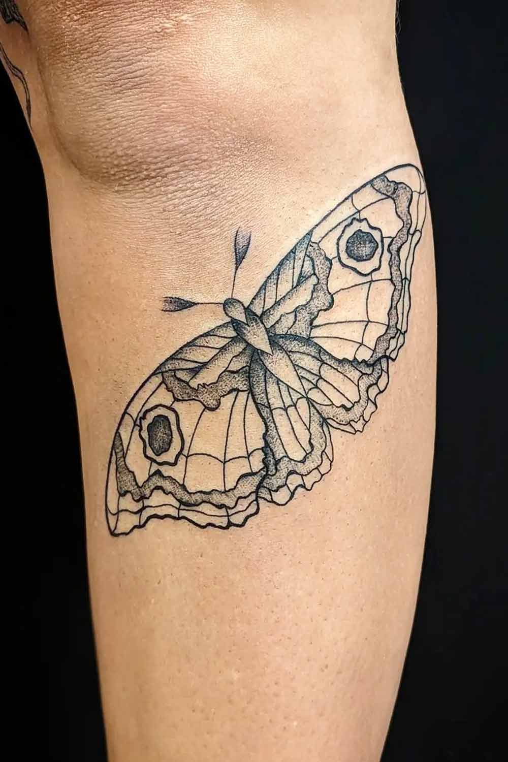 Black and White Butterfly On Leg