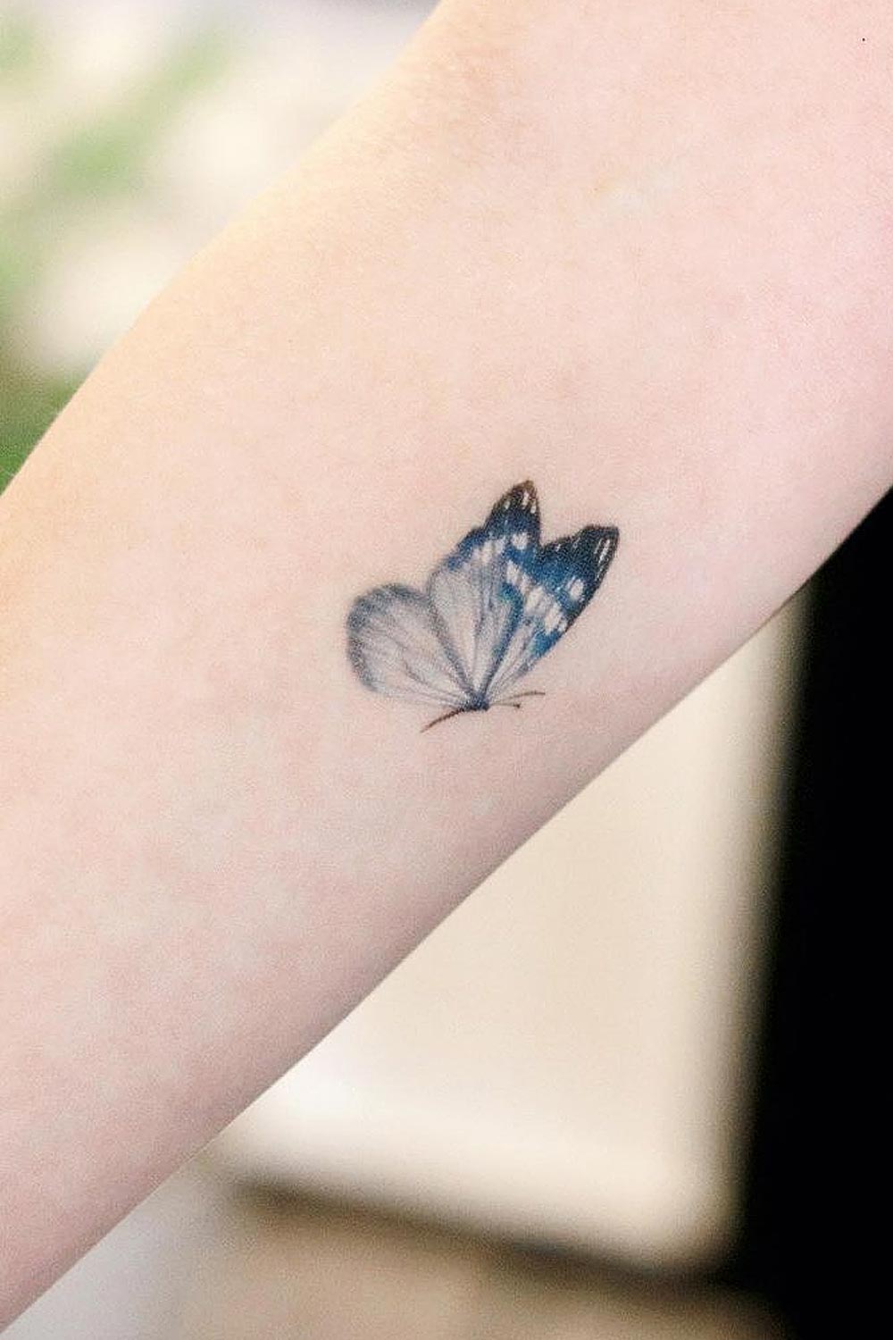 Minimalistic Blue Butterfly