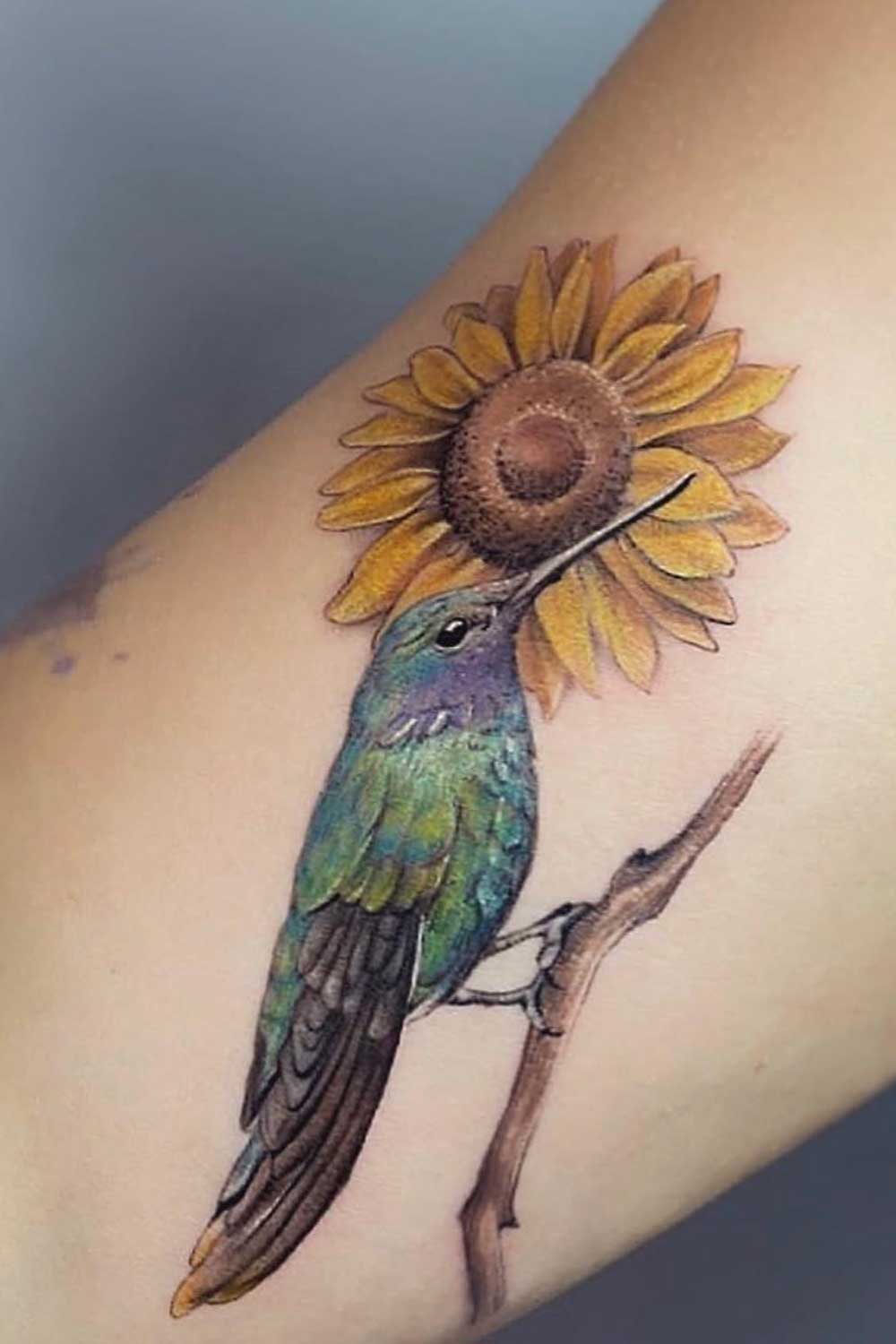 Calibri Bird with a Sunflower