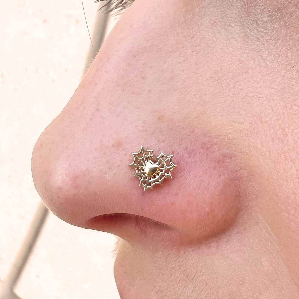 Nostril Piercing Jewelry with Heart