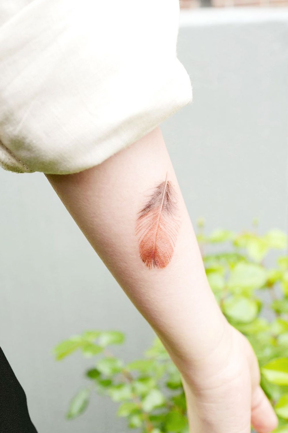 Small Brown Shades Forearm Feather