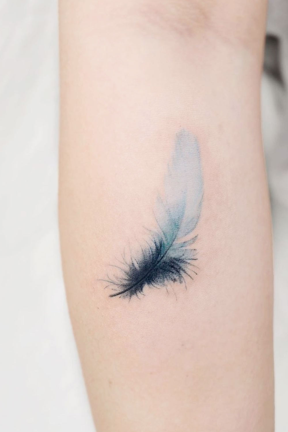 Navy Blue Feather