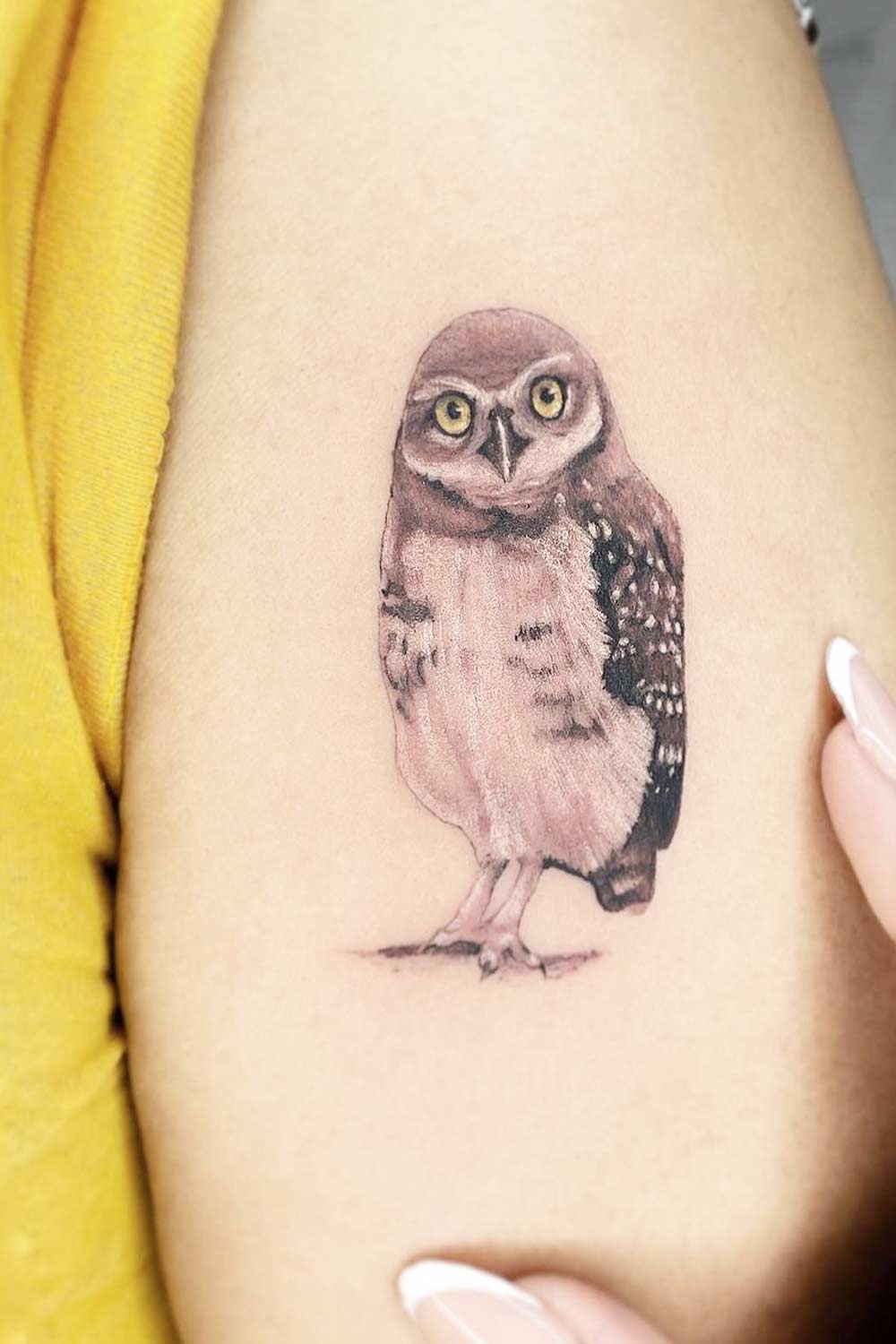 Small Owlet Tattoo Design