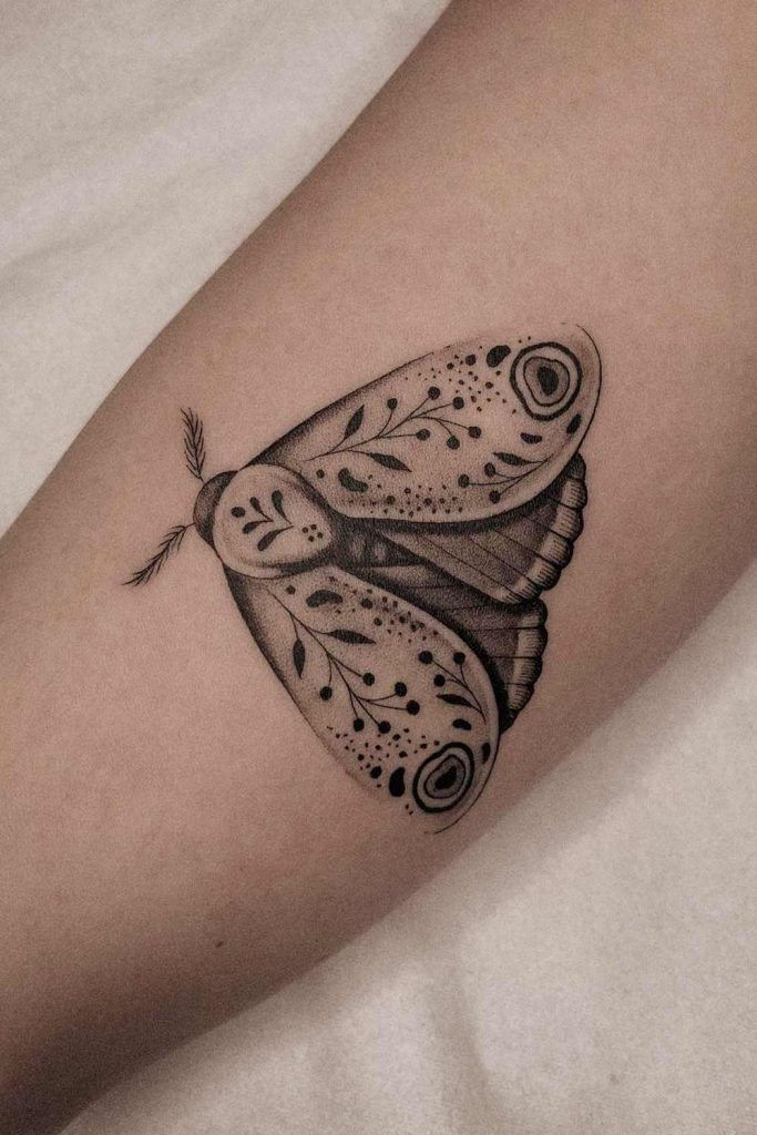 Moth with Ornamental Accent