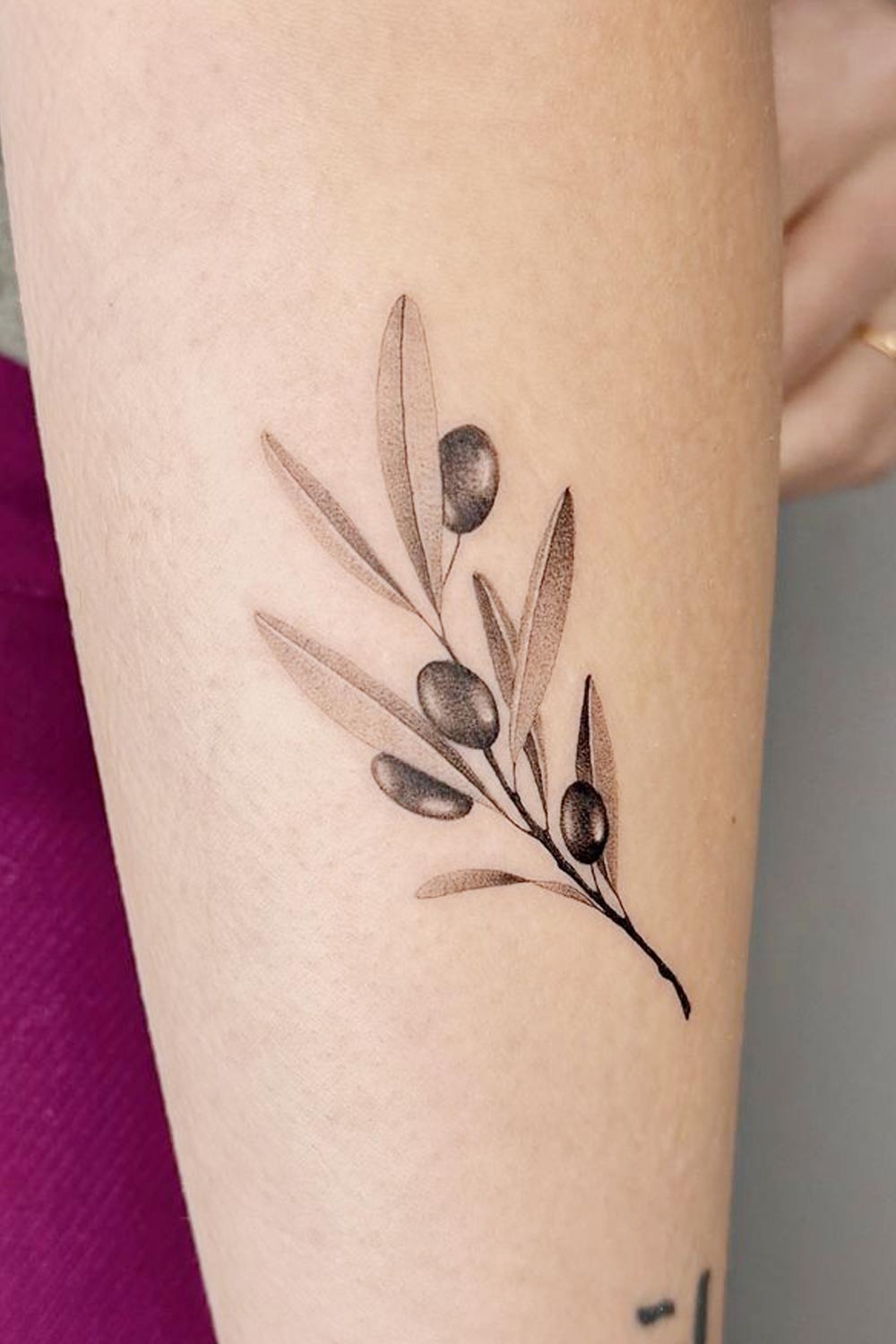Dotwork Olive Branch Tattoo