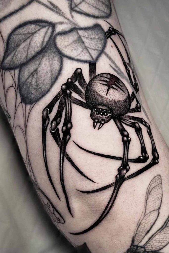Creepy Elbow Spider