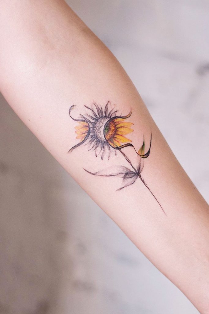 An X-Ray Style Sunflower