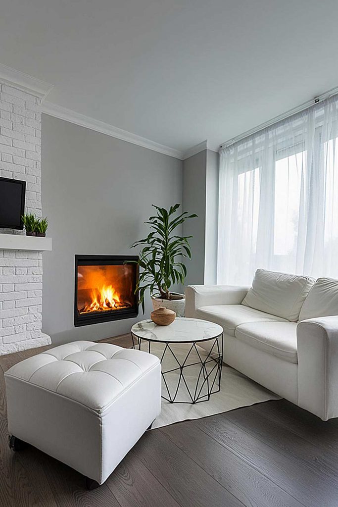Modern and Clean