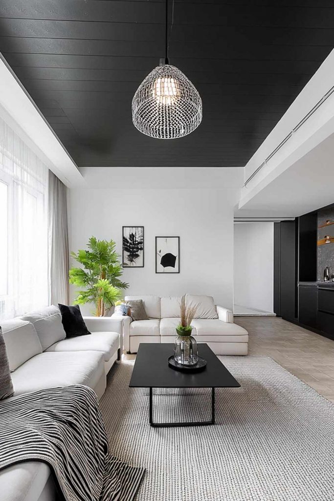 Black and White Color Palette with Black Ceiling 