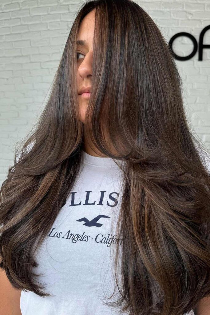 Subtle Dark Brown Balayage