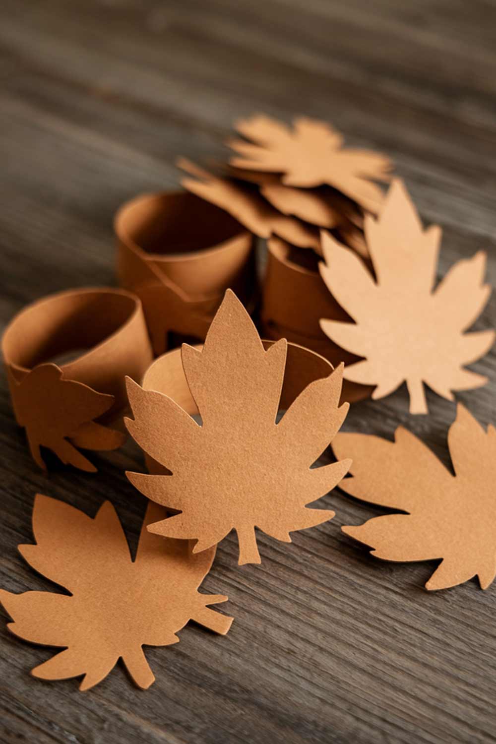 Handmade Paper Napkin Rings with Leaves for Thanksgiving Day