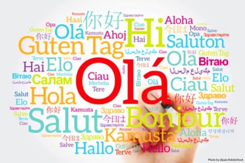 What is the most spoken language in the world?