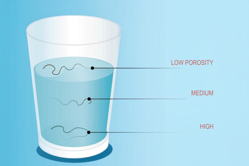 Hair Porosity Quiz