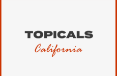 Topicals – Skincare for Flare-Ups