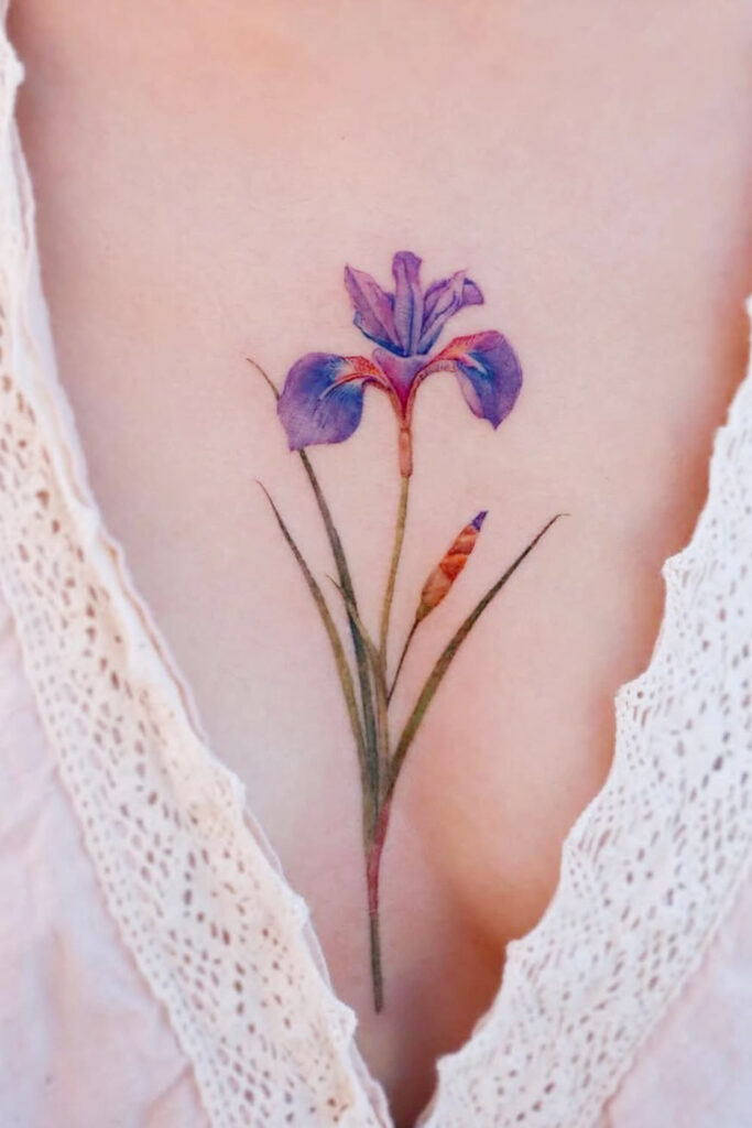 Iris Flower Design