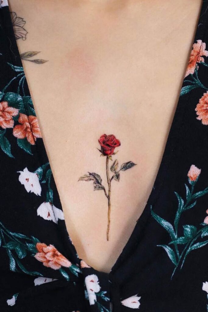 Single Rose Flower
