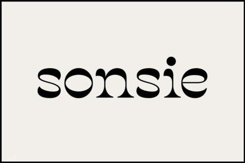 Sonsie Skin: Skincare That Makes Your Face Glow
